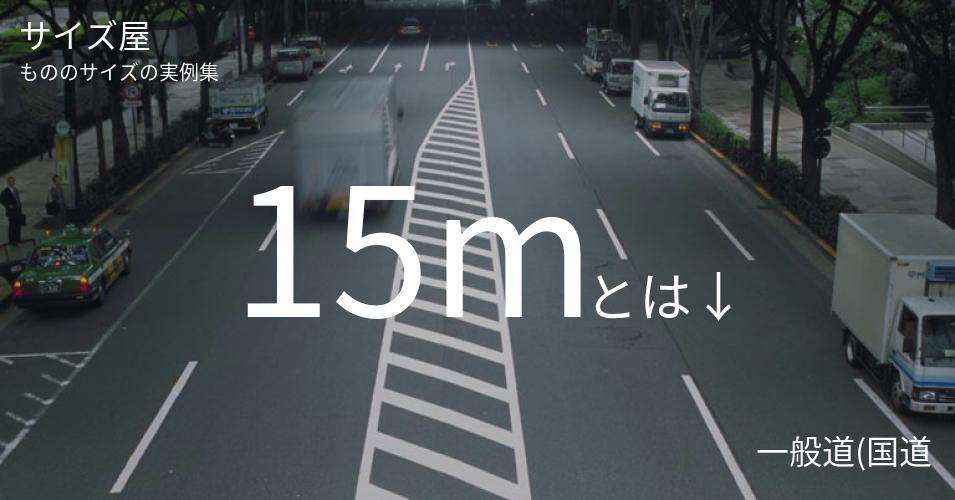 15mとは「一般道(国道)の車道の破線ワンセット(線1本とその間隔)」くらいの高さです