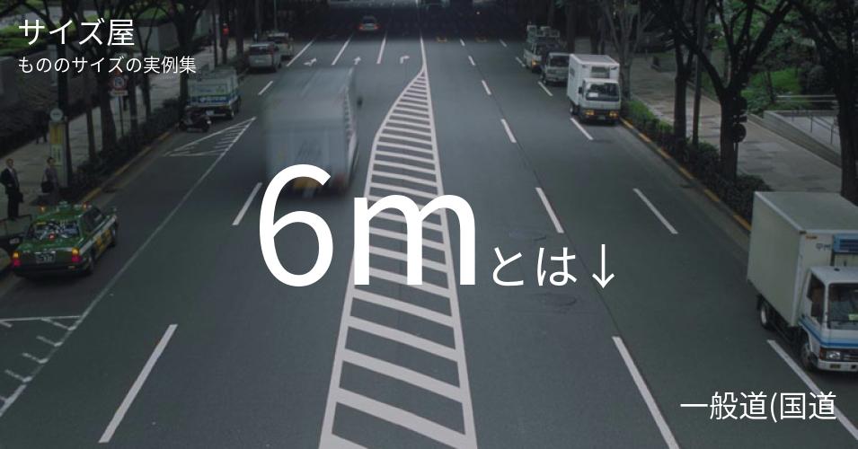 6mとは「一般道(国道)の車道の破線の長さ」くらいの高さです