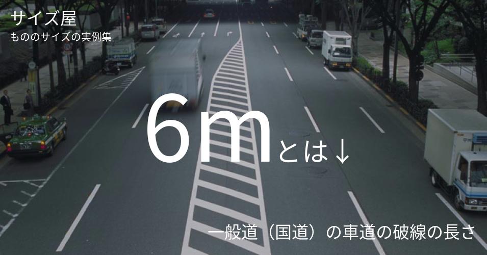 6mとは「一般道（国道）の車道の破線の長さ」くらいの高さです