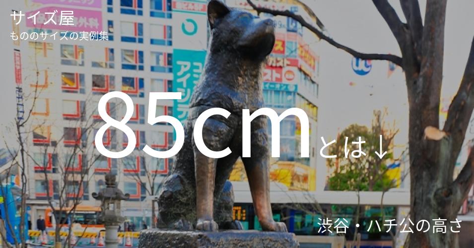 85cmとは「渋谷・ハチ公の高さ」くらいの高さです