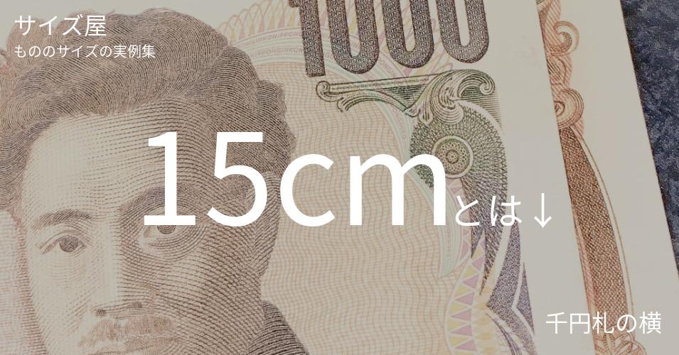 15cmとは「千円札の横」くらいの高さです