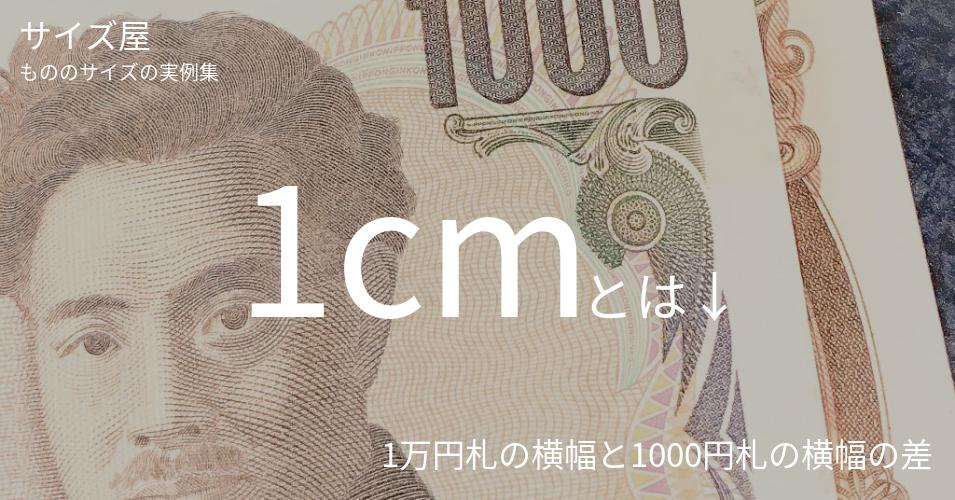 1cmとは「1万円札の横幅と1000円札の横幅の差」くらいの高さです