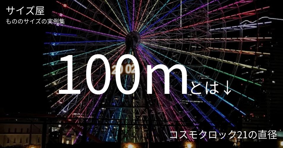 100m サイズ屋 モノのサイズの実例集 100m サイズ屋 モノのサイズの実例集