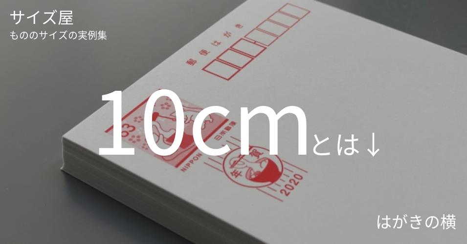 10cm サイズ屋 モノのサイズの実例集 10cm サイズ屋 モノのサイズの実例集