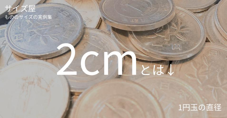 2cm サイズ屋 モノのサイズの実例集 2cm サイズ屋 モノのサイズの実例集
