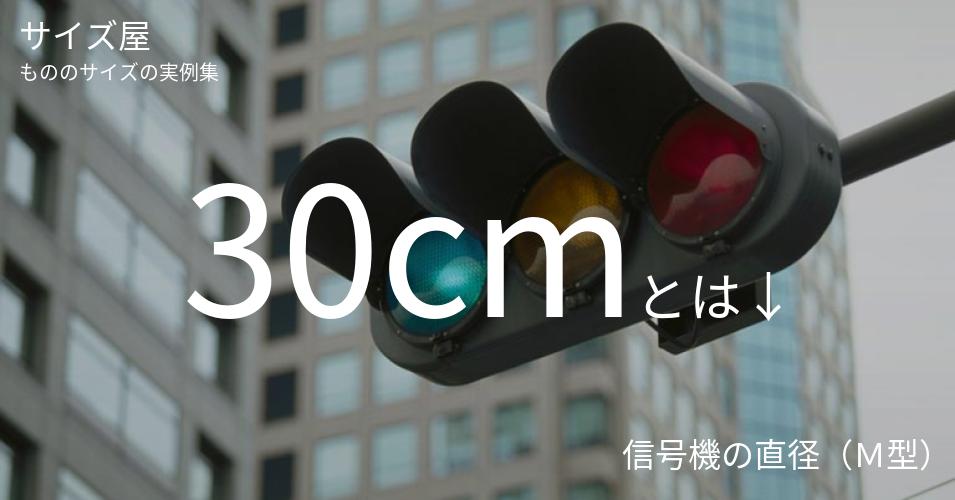30cm サイズ屋 モノのサイズの実例集 30cm サイズ屋 モノのサイズの実例集