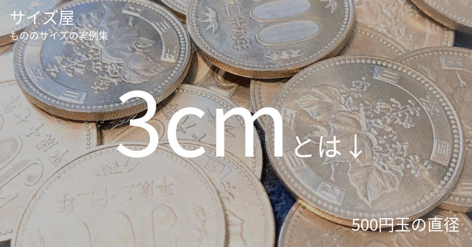 3cm サイズ屋 モノのサイズの実例集 3cm サイズ屋 モノのサイズの実例集