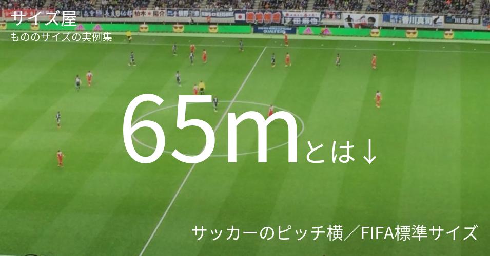 65mとは「サッカーのピッチ横／FIFA標準サイズ」くらいの高さです