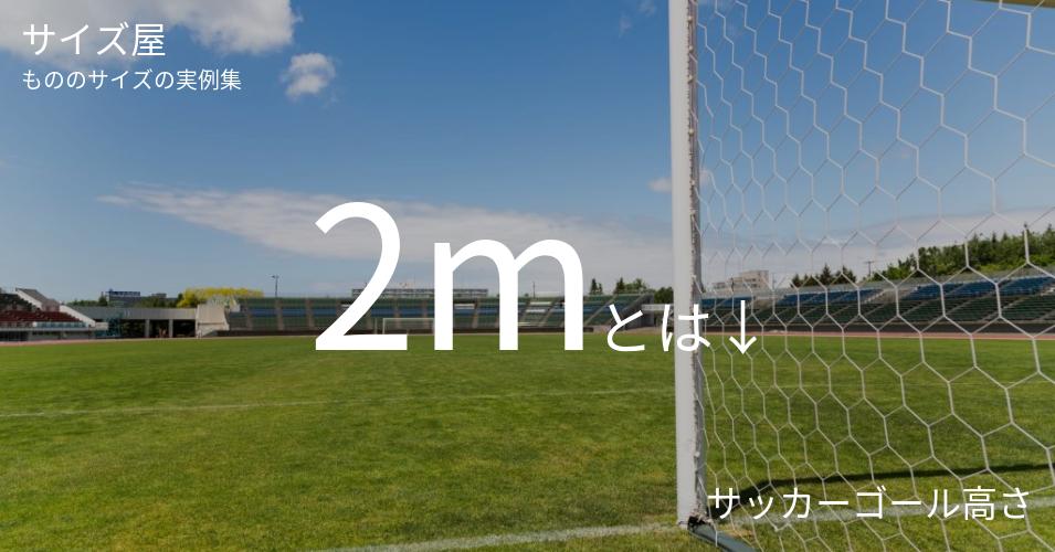 2mとは「サッカーゴール高さ」くらいの高さです