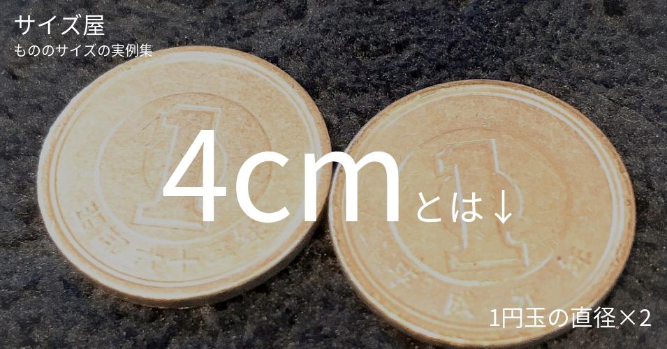 4cmとは「1円玉の直径×2」くらいの高さです