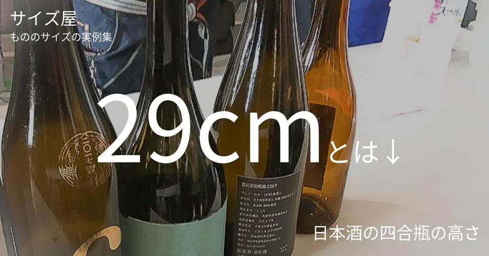29cmとは「日本酒の四合瓶の高さ」くらいの高さです