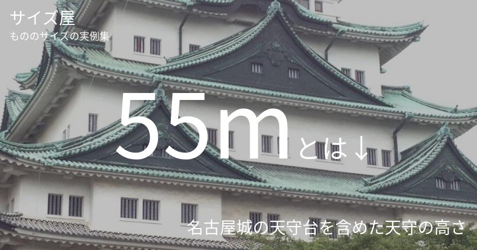 55mとは「名古屋城の天守台を含めた天守の高さ」くらいの高さです