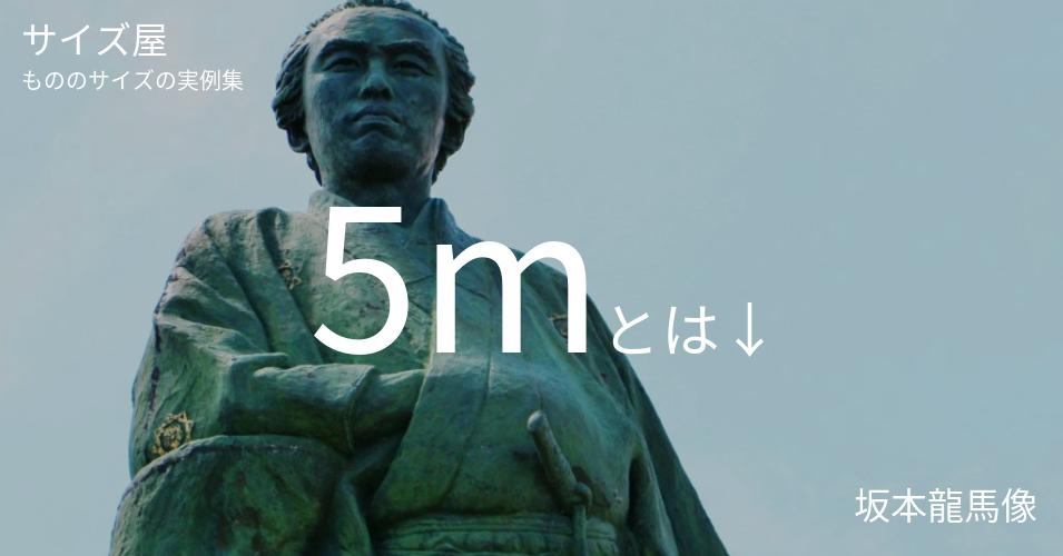 5mとは「坂本龍馬像」くらいの高さです