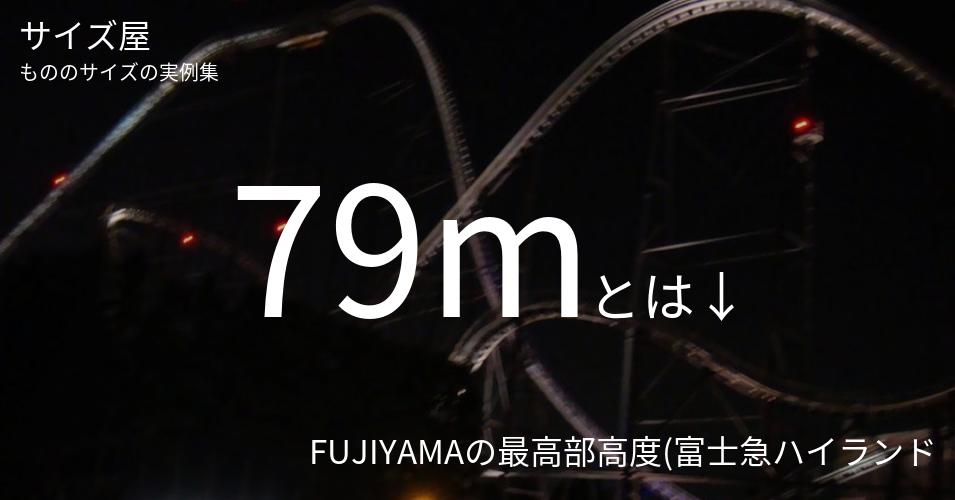 79mとは「FUJIYAMAの最高部高度(富士急ハイランド)」くらいの高さです