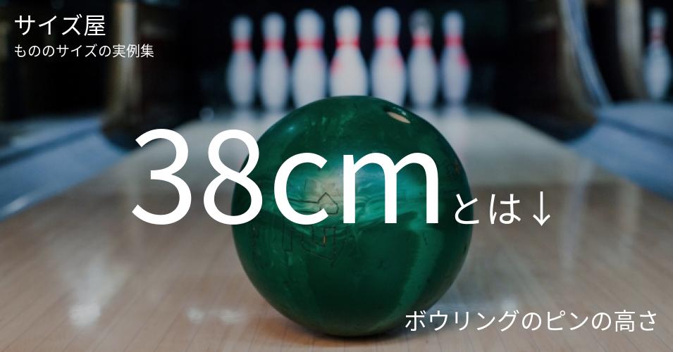 38cm サイズ屋 モノのサイズの実例集 38cm サイズ屋 モノのサイズの実例集