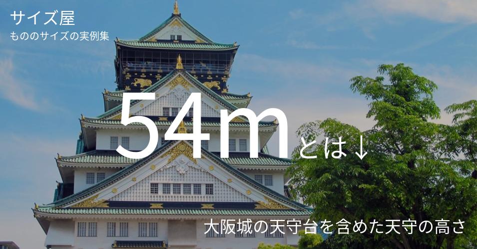 54mとは「大阪城の天守台を含めた天守の高さ」くらいの高さです