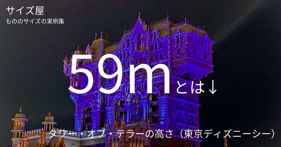 59mとは「タワー・オブ・テラーの高さ（東京ディズニーシー）」くらいの高さです