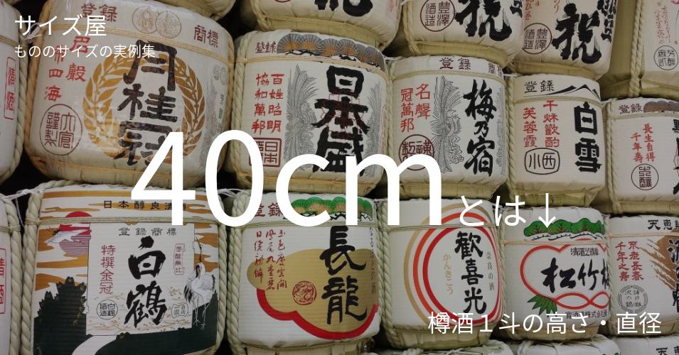 40cm サイズ屋 モノのサイズの実例集 40cm サイズ屋 モノのサイズの実例集