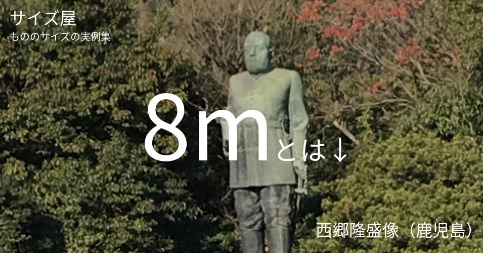 8mとは「西郷隆盛像（鹿児島）」くらいの高さです