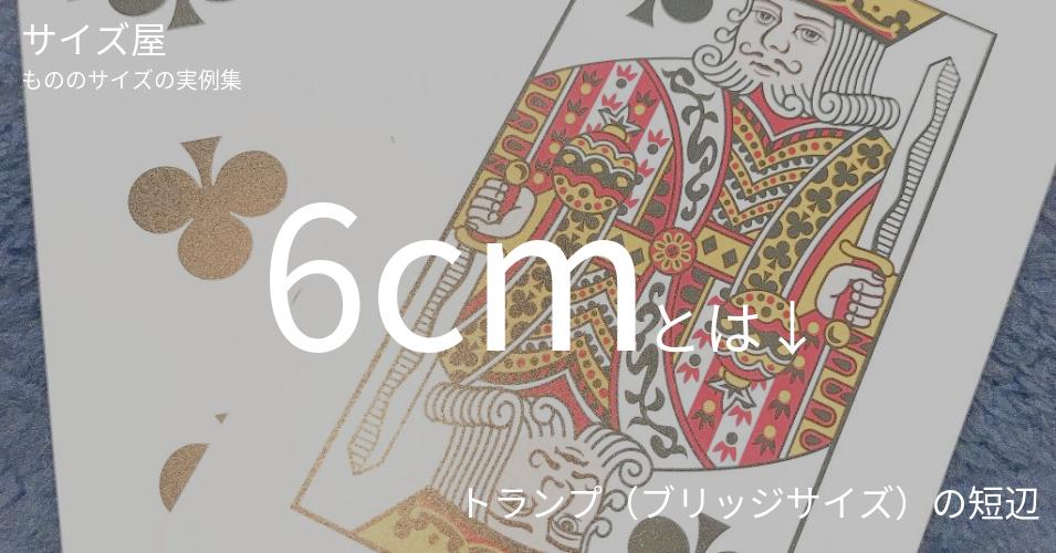 6cm サイズ屋 モノのサイズの実例集 6cm サイズ屋 モノのサイズの実例集