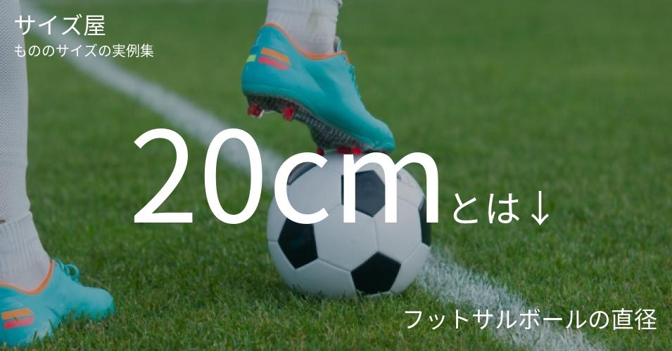 cm サイズ屋 モノのサイズの実例集 cm サイズ屋 モノのサイズの実例集
