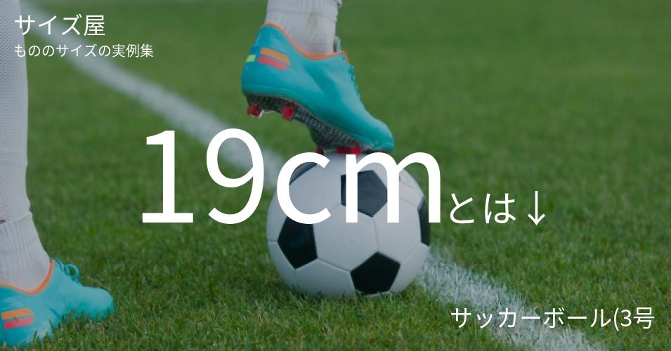 19cmとは「サッカーボール(3号)の直径」くらいの高さです