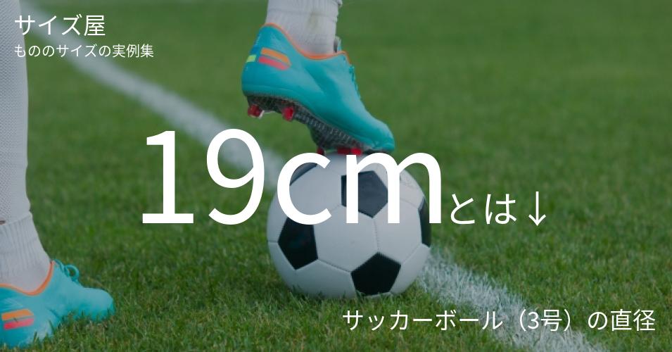 19cmとは「サッカーボール（3号）の直径」くらいの高さです