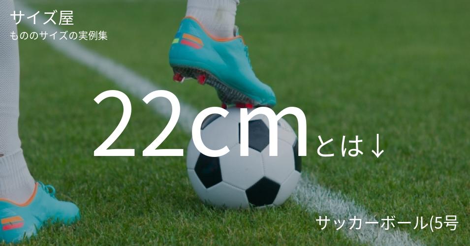 22cmとは「サッカーボール(5号)の直径」くらいの高さです