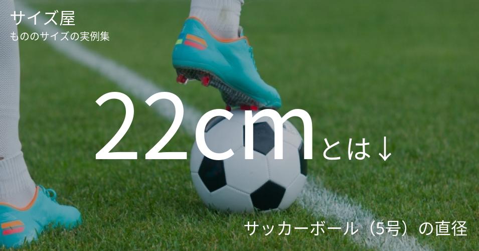 22cmとは「サッカーボール（5号）の直径」くらいの高さです