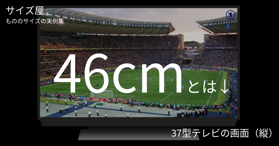 46cmとは「37型テレビの画面（縦）」くらいの高さです