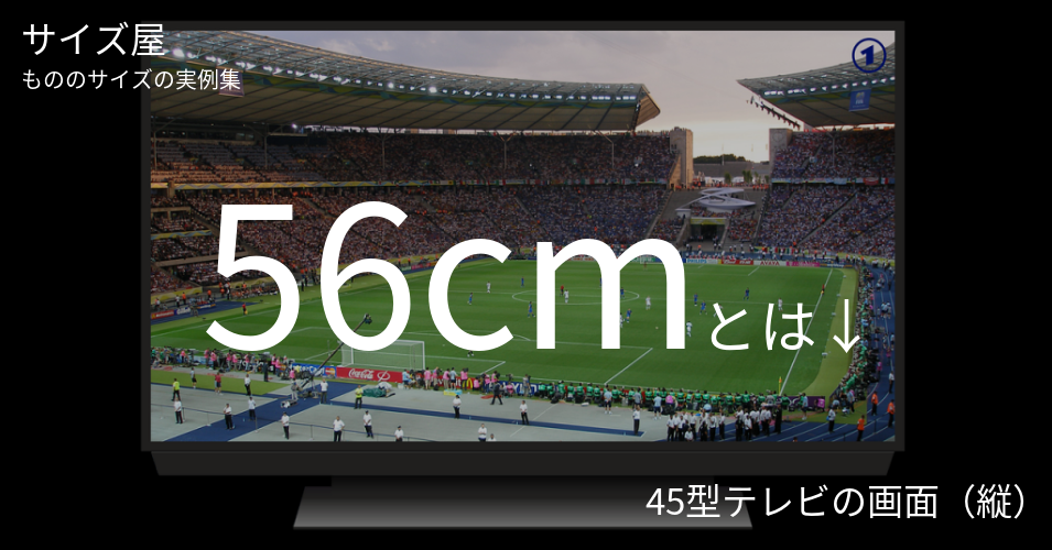 56cmとは「45型テレビの画面（縦）」くらいの高さです