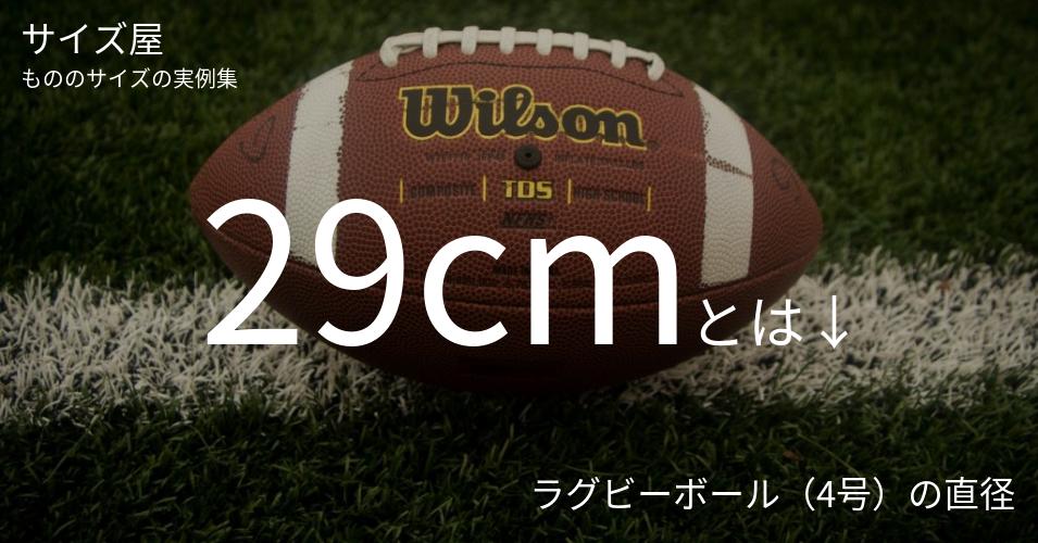 29cm サイズ屋 モノのサイズの実例集 29cm サイズ屋 モノのサイズの実例集