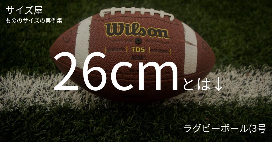 26cmとは「ラグビーボール(3号)の直径」くらいの高さです
