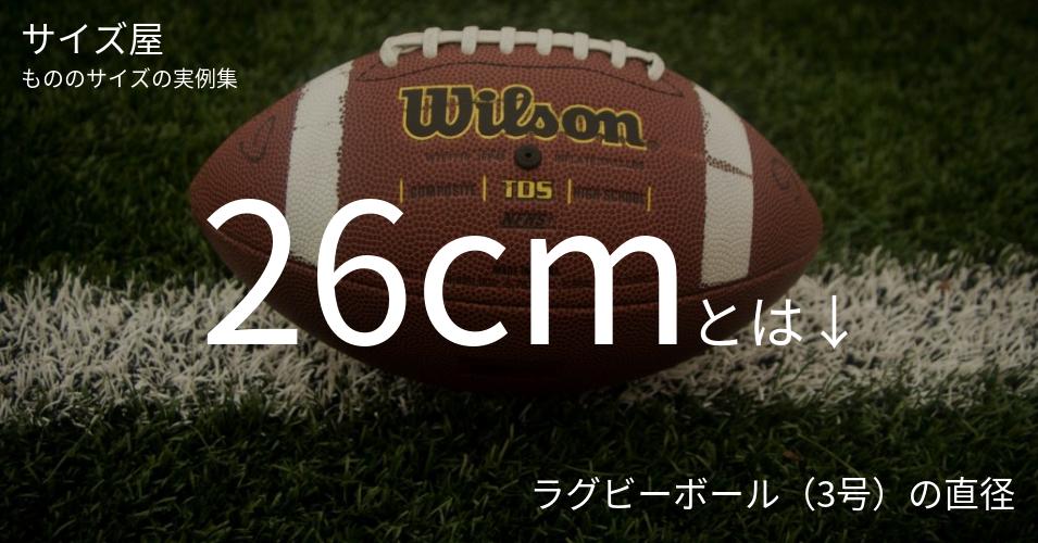 26cmとは「ラグビーボール（3号）の直径」くらいの高さです