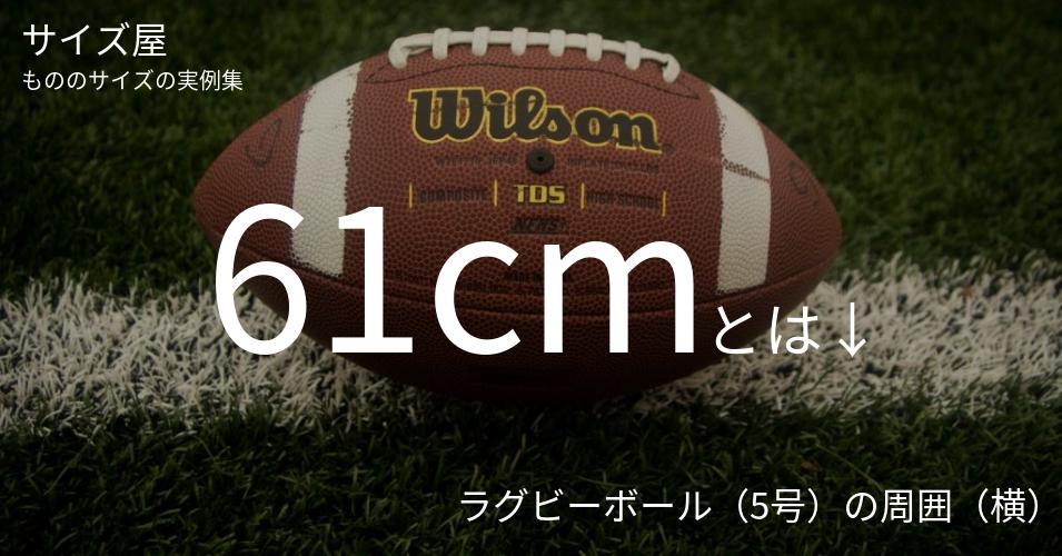 61cmとは「ラグビーボール（5号）の周囲（横）」くらいの高さです
