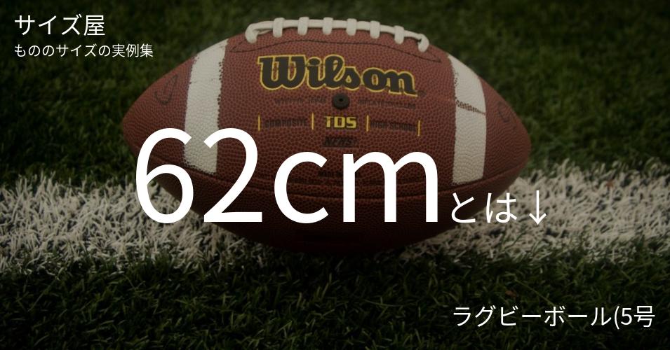 62cmとは「ラグビーボール(5号)の周囲(横)」くらいの高さです