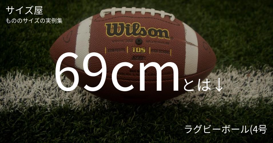 69cmとは「ラグビーボール(4号)の周囲(縦)」くらいの高さです