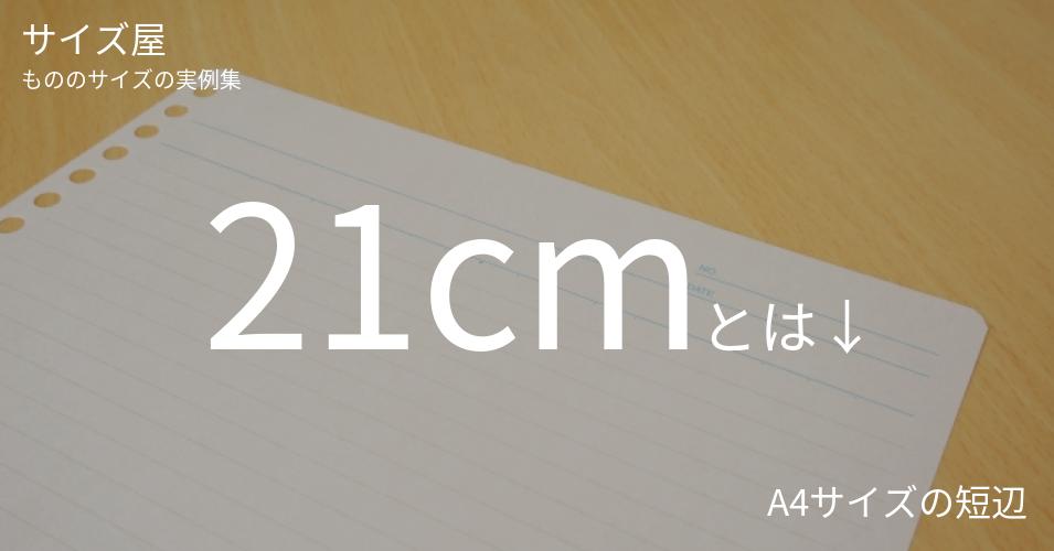 21cm サイズ屋 モノのサイズの実例集 21cm サイズ屋 モノのサイズの実例集