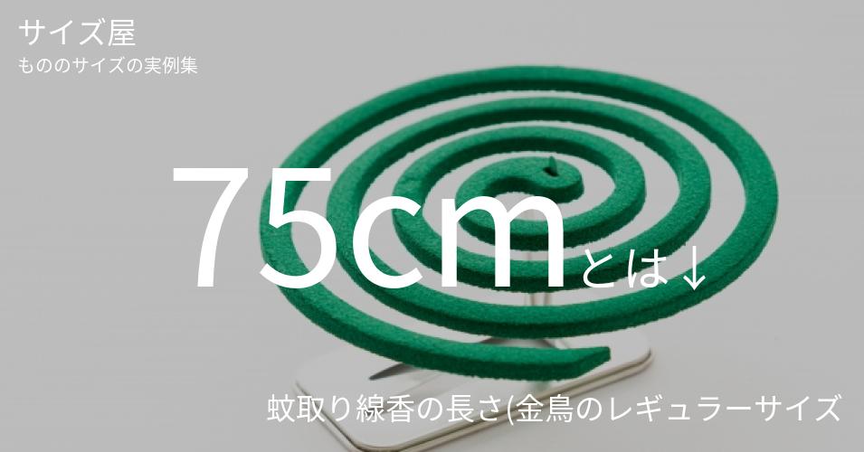 75cmとは「蚊取り線香の長さ(金鳥のレギュラーサイズ)」くらいの高さです