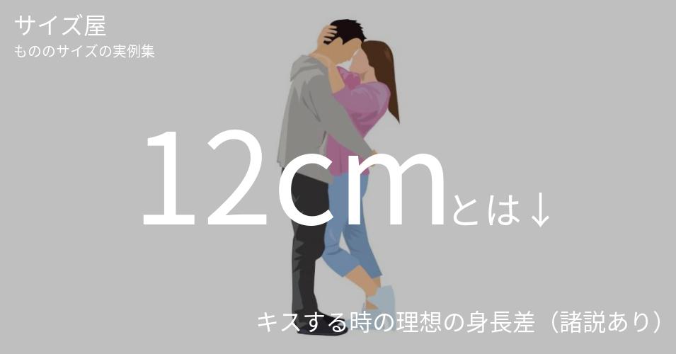 12cm サイズ屋 モノのサイズの実例集 12cm サイズ屋 モノのサイズの実例集