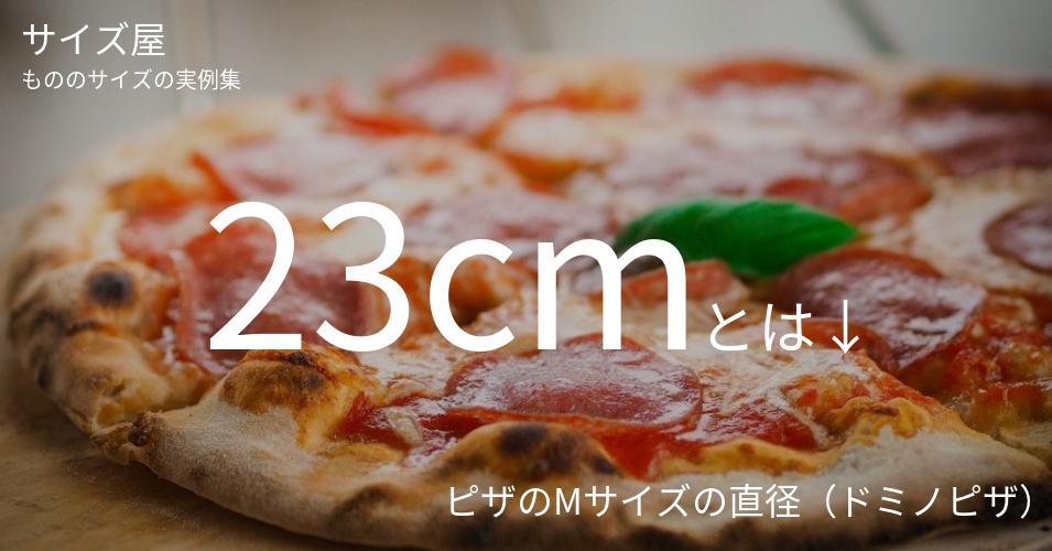 23cmとは「ピザのMサイズの直径（ドミノピザ）」くらいの高さです