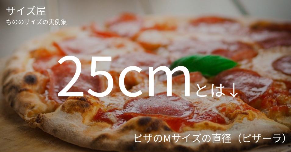 25cmとは「ピザのMサイズの直径（ピザーラ）」くらいの高さです
