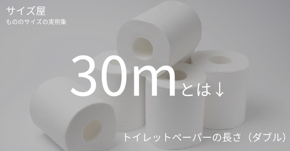 30m サイズ屋 モノのサイズの実例集 30m サイズ屋 モノのサイズの実例集