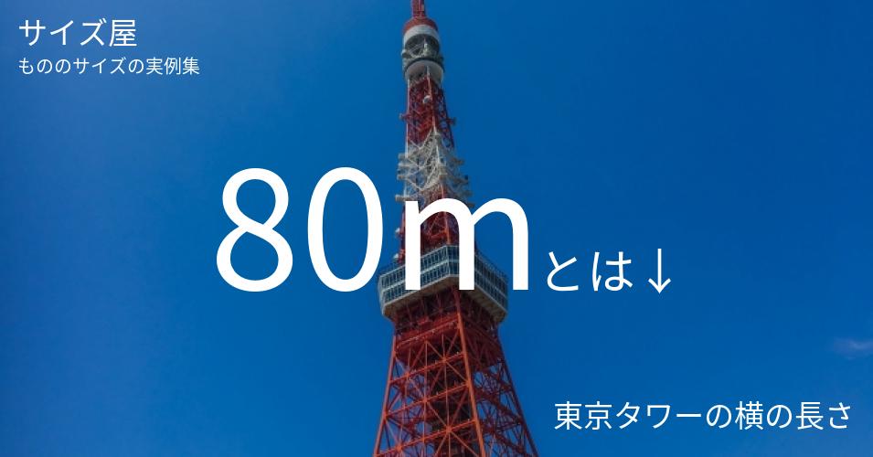 80mとは「東京タワーの横の長さ」くらいの高さです