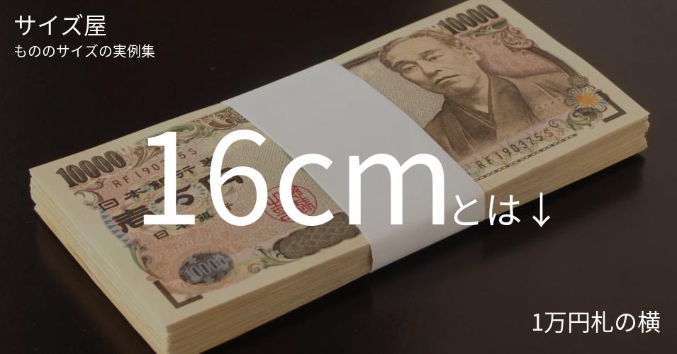 16cmとは「1万円札の横」くらいの高さです
