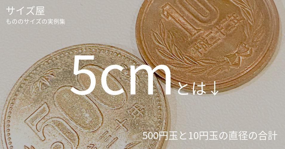 5cmとは「500円玉と10円玉の直径の合計」くらいの高さです