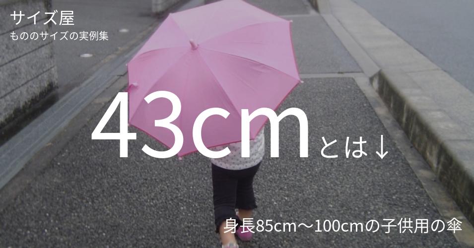 43cmとは「身長85cm～100cmの子供用の傘」くらいの高さです