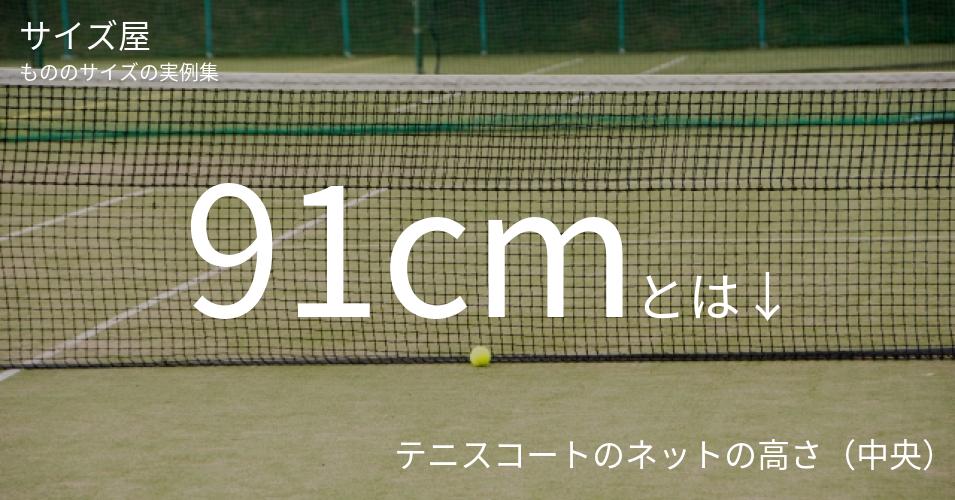 91cmとは「テニスコートのネットの高さ（中央）」くらいの高さです