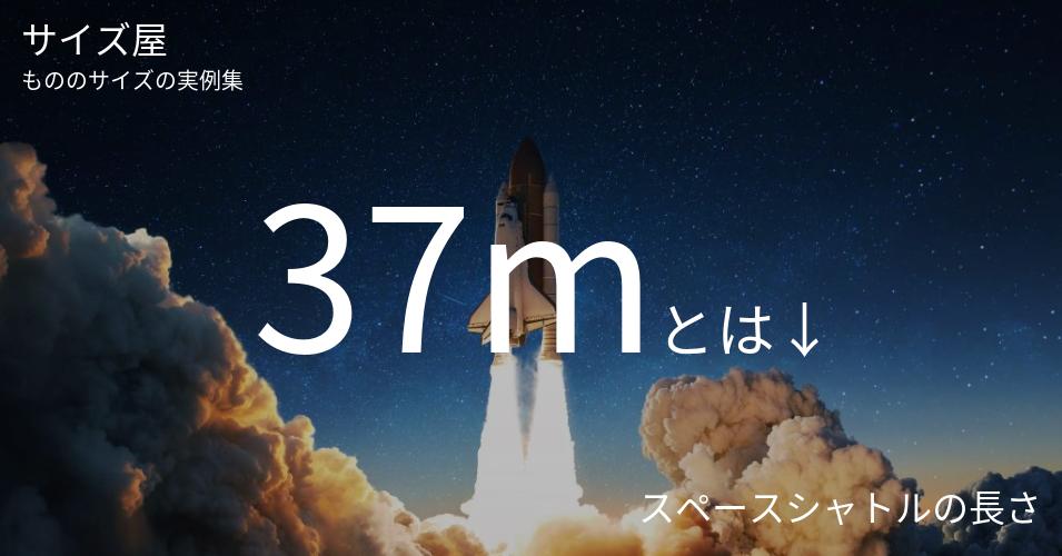 37mとは「スペースシャトルの長さ」くらいの高さです