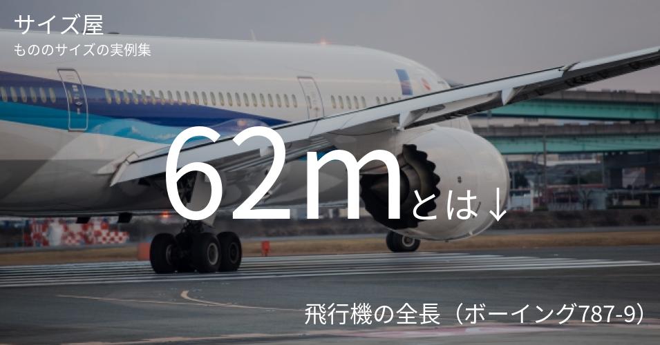 62mとは「飛行機の全長（ボーイング787-9）」くらいの高さです